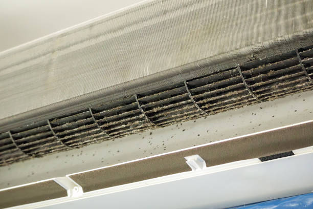Best HVAC System Cleaning  in Chehalis, WA
